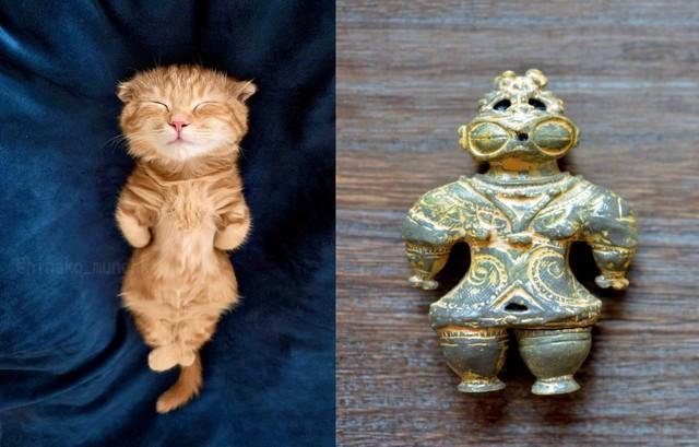 神戸新聞next 連載 特集 話題 世紀の発見 子猫の寝姿が土偶にそっくりと話題 へそ天土偶 教科書で見たやつw