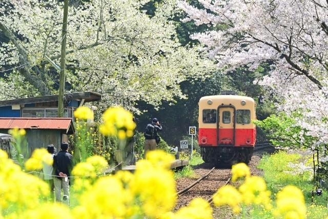 小湊鐡道