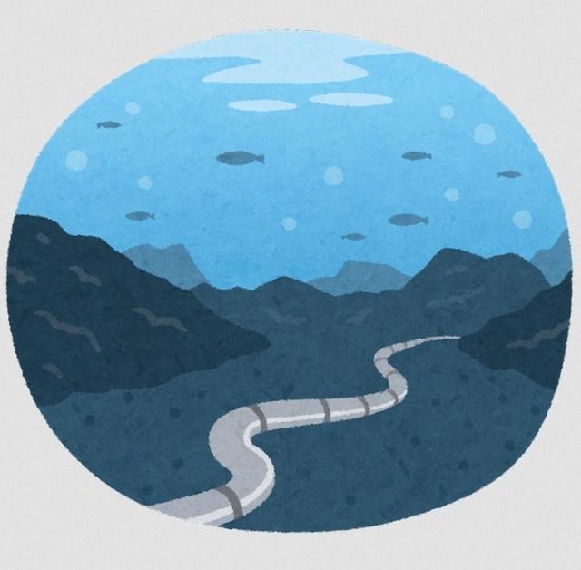 海底ケーブルの存在を疑う人がいるそうです