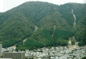 「蛇抜け」の例／出典：池田碩（2015）：「広島市北部「土石流災害」からの教訓と警鐘」月刊地理、60-4、pp.18-25