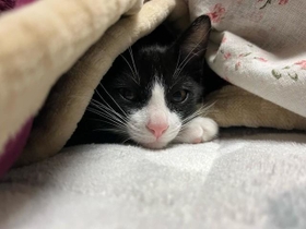 寒くなったからぬくぬく