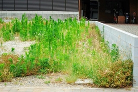 全国の所有者が不明な土地の面積は約410万haで、九州の土地面積を上回る（Satoshi/adobe.stock.com）