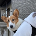 ご主人を信用したい、けど…（提供画像）