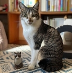 これは僕の分身らしい
