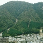 「蛇抜け」の例／出典：池田碩（2015）：「広島市北部「土石流災害」からの教訓と警鐘」月刊地理、60-4、pp.18-25