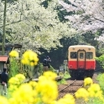 小湊鐡道