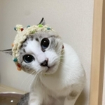 あざと可愛いって誰のこと？