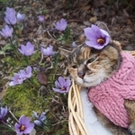 一緒にお庭散歩をした時の1枚