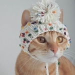 可愛い毛糸の帽子が似合っている