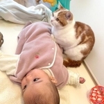 赤ちゃんの寝返りをサポートしているような猫の姿がTwitter上で話題になった（提供写真）