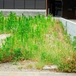 全国の所有者が不明な土地の面積は約410万haで、九州の土地面積を上回る（Satoshi/adobe.stock.com）