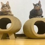 福岡デザインアワードで銀賞を受賞した「にゃんボールクラッシュ」の上でくつろぐ、そら（左）とマリン（右）