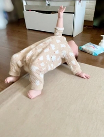 生後６ヶ月、ブリッジ決めた！（提供・@nekonoko_konoko）