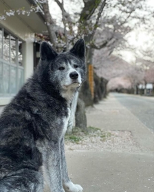 通りすがりのカップルが撮ってくれた写真。穏やかな顔をしている