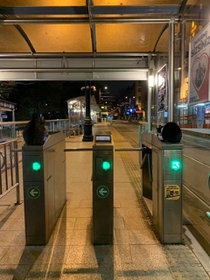 １台に１匹、真ん中は人間が使っていいからね＝ねこズさん（@nekonekkop）提供