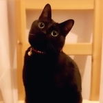 表情も姿勢も完璧なポージング！