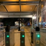 １台に１匹、真ん中は人間が使っていいからね＝ねこズさん（@nekonekkop）提供