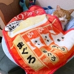 至福のひととき…（コンドリア水戸さん提供）