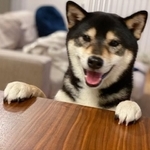 ワーイ！おやつ、おやつ。新しいおやつだ！！＝琥大朗-KOTARO-さん（@kotaro_20180626）提供