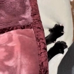 お布団をフミフミする小さなお手ての正体は？（「うおおお」さん提供、Twitterよりキャプチャ撮影）