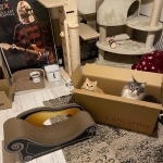 そっちじゃないのに…（ネコランドさん提供）