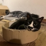クリっとした目が可愛い