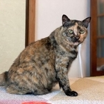 慎重派で、やや臆病なまるさん