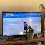 羽生選手が滑り始めたら、お手てでチョイチョイしながら追い掛けるシータちゃん（りょさん提供、Twitterよりキャプチャ撮影）
