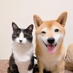 笑顔っていいにゃ