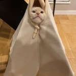 まるで、てるてる坊主？（提供写真）