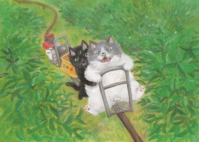 愛媛編でミカン畑を訪れたマル