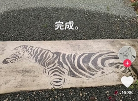「父の気まぐれなので、また高圧洗浄機を借りられたら消してしまうかも」とうぉるなっつさん。もったいない…！（TikTokよりスクショ）