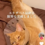大丈夫そ？いやホントに大丈夫そ？（TikTokよりスクショ）