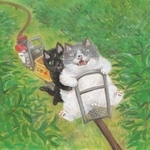 愛媛編でミカン畑を訪れたマル