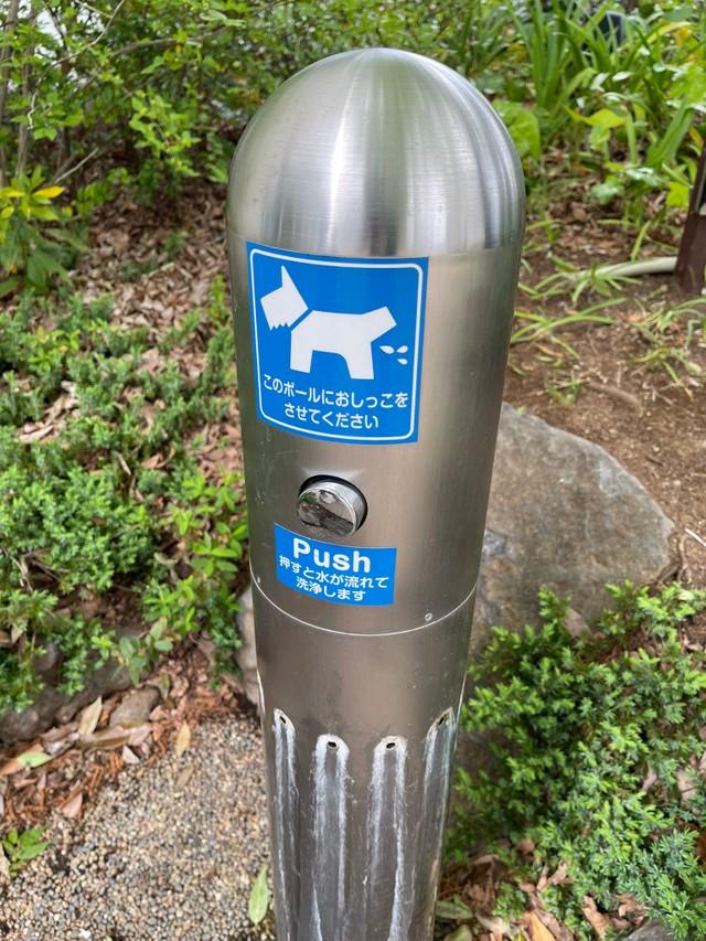 代官山に出現した銀色に光るポール 実は 犬用水洗トイレ Sf作家も衝撃 今や高級ホテルや商業施設で導入 神戸新聞next 連載 特集 話題