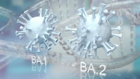 BA.1より感染力も毒性も強いオミクロン「BA.2」（niphon/stock.adobe.com）