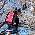 4月1日生まれの子どもの学年は?（Eiki Photography/stock.adobe.com）