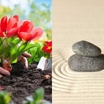 ガーデニング（左）＝（Alexander Raths/adobe.stock.com）、禅庭園（arkgarden/adobe.stock.com）
