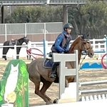 とこわか馬術競技大会のワンシーン
