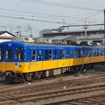 青と黄。この色の組み合わせといえば…（らぶあーすさん提供）