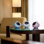 京言葉を話すAI会話ロボットと思う存分おしゃべりできる、ホテルの宿泊プランが登場（提供画像）