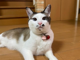 現在のじんくん。来年のじんくんはもっと黒くなってる？
