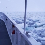 「ちゃんと安全に真摯に取り組んでいる会社もありますよ」とハートマン提督さん(ハートマン提督さん提供)