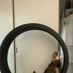 これなら家の中でも全力疾走！（上森徹さん提供）