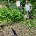 叫んでみても時すでに遅し。静岡ちゃんは家庭菜園にまっしぐら=marco77774 大阪らぶねこ展4/30～5/3 アイギャラリーさん（@marco74444）提供