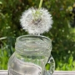 水に漬けてもこの通り！（自然ガイドのネタ帳さん提供）