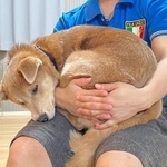 ちょっと頭が気になったけど、お父さんなら安心＝あさぎさん（@___a_y_r_）提供