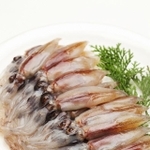 ホタルイカの刺身(Paylessimages/stock.adobe.com)