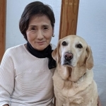 現在のパートナー、2代目盲導犬ベーチェルと（写真はすべてセアまりさん提供）
