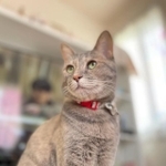 あんちゃんは萩田さんにパワーをくれる